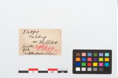 Etikett zu Bronzeanhänger (NHMW-PRAE-024600)